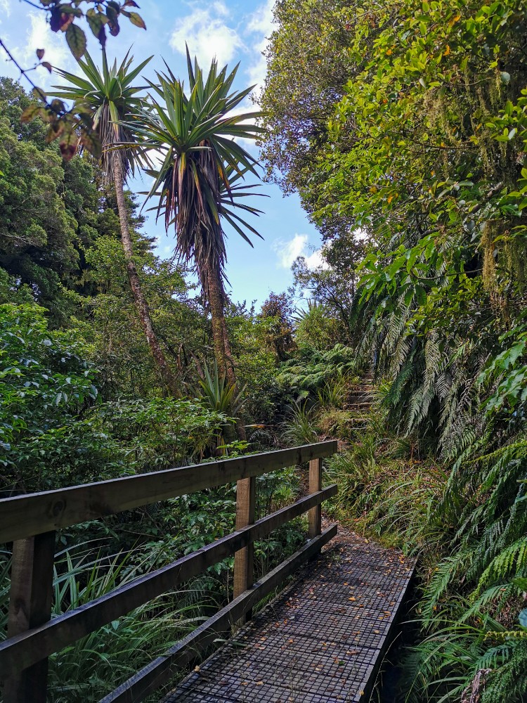 Der grüne Victoria Loop Trail