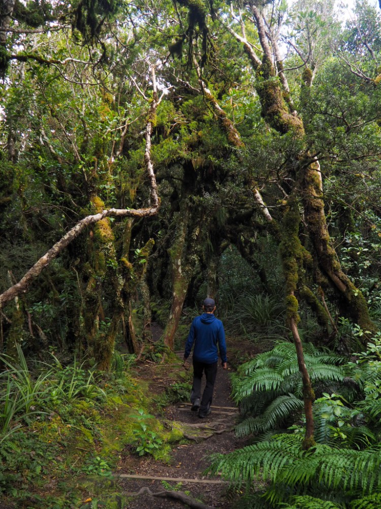 Wieder ein traumhafter Wanderweg