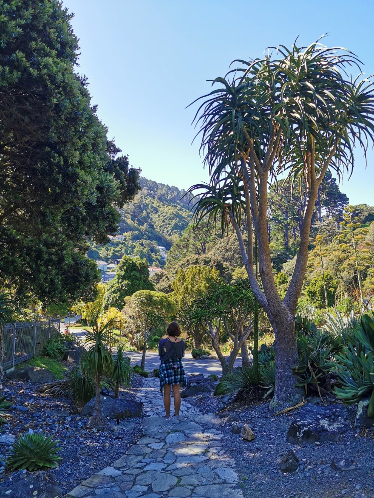 Der tolle botanische Garten