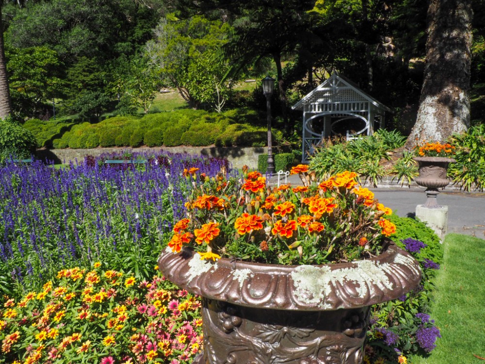 Die Blütenpracht im botanischen Garten