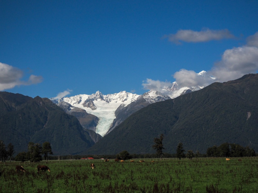 Traumhafter Blick auf Fox Glacier und Mount Cook