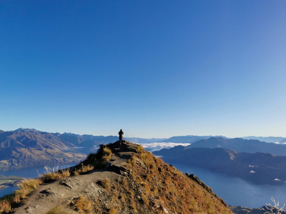 Der tolle Viewpoint