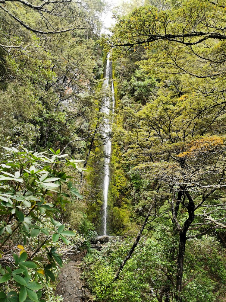 Der ganz schön hohe Dog Stream Wasserfall