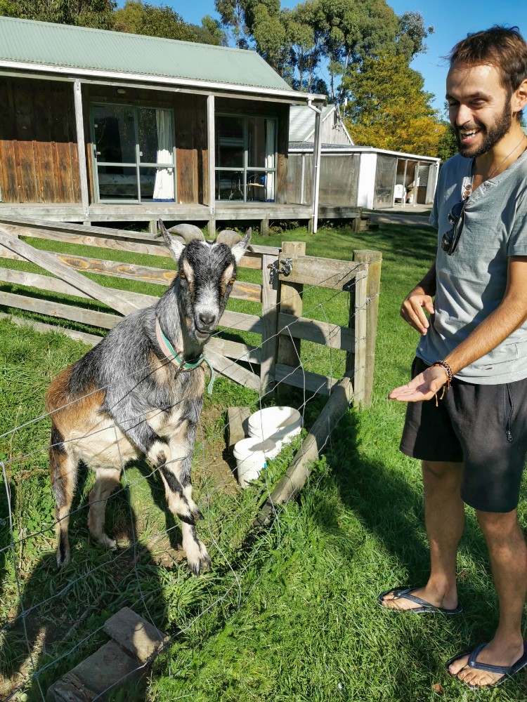 "was soll der Quatsch mit den Fotos, ich will jetzt Futter!"