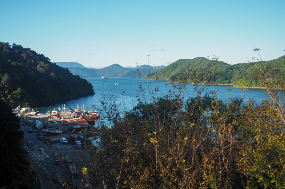 Ein letzter Blick auf den Queen Charlotte Sound