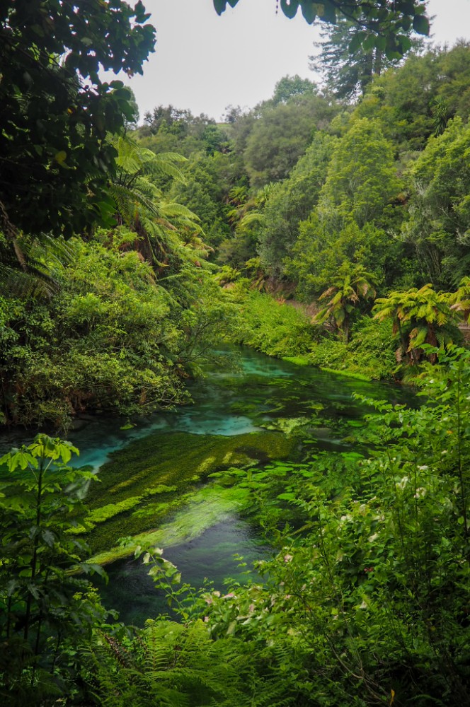 Klareres Wasser hab ich auch noch nicht gesehen