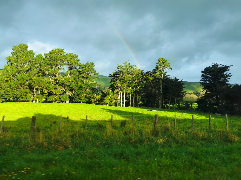 Der erste Regenbogen in Neuseeland!