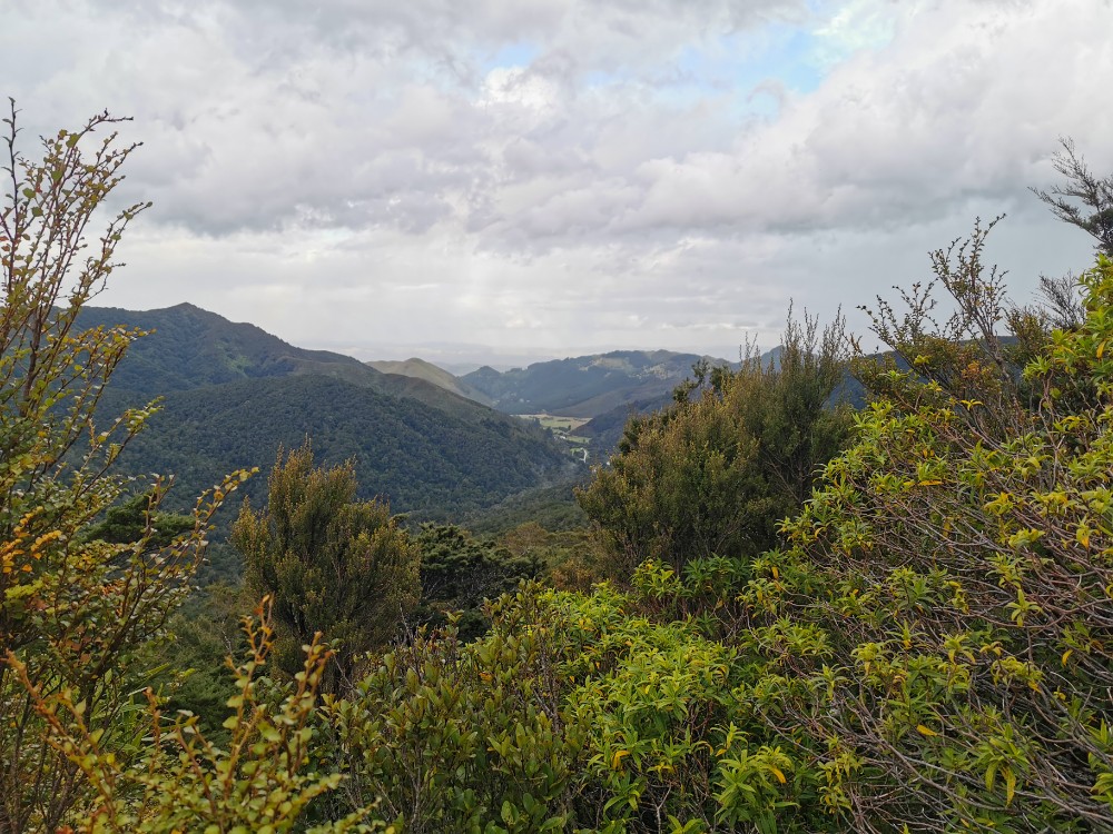 Toller Ausblick inklusive