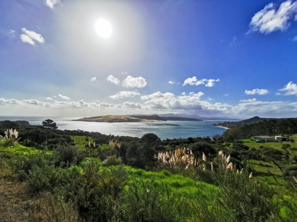 Am Pakia Hill Lookout halten wir auch kurz