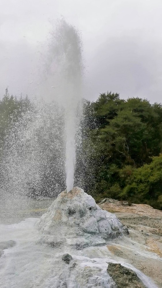 Der Lady Knox Geisir