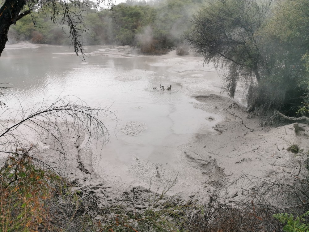 Die Mud Pools in einem Krater