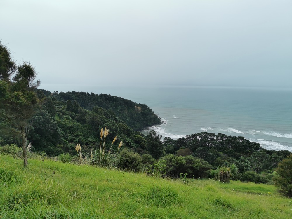 Wieder nur grau am Ohepe Lookout