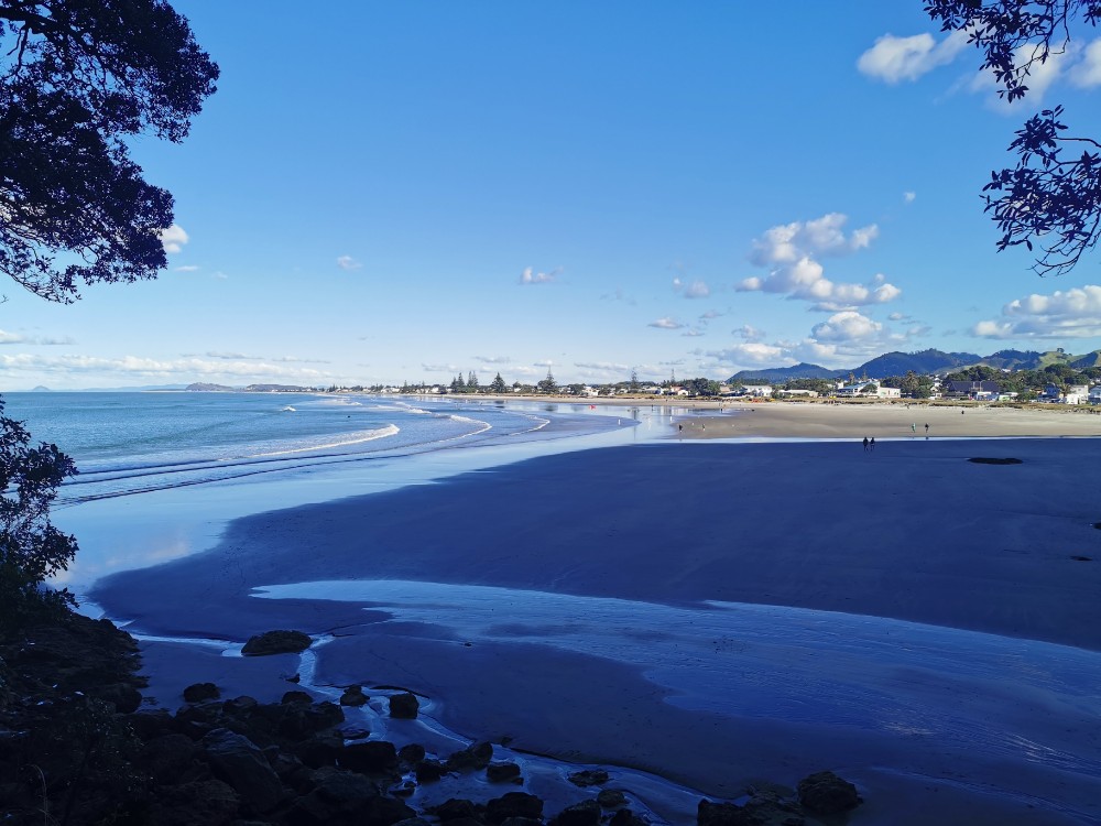 Zurück am Waihi Beach