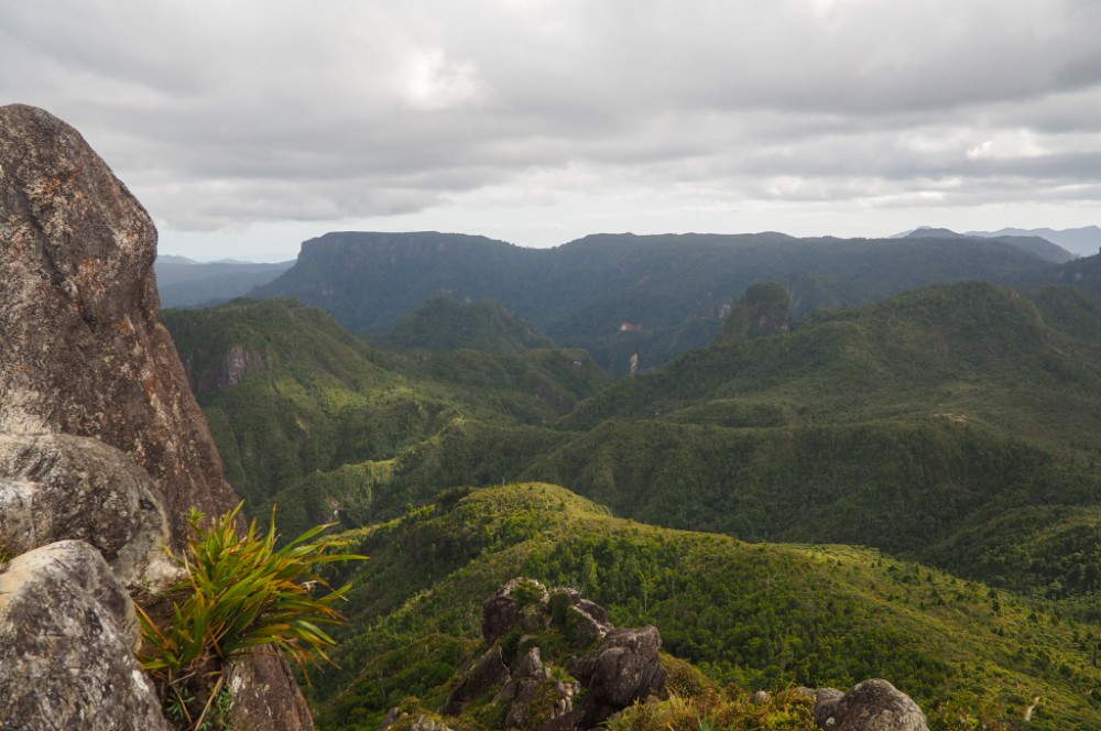 Super Ausblick über den Coromandel Forest Park