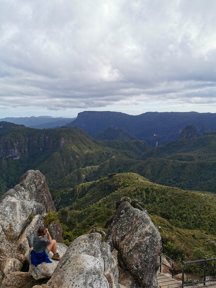 Super Ausblick über den Coromandel Forest Park