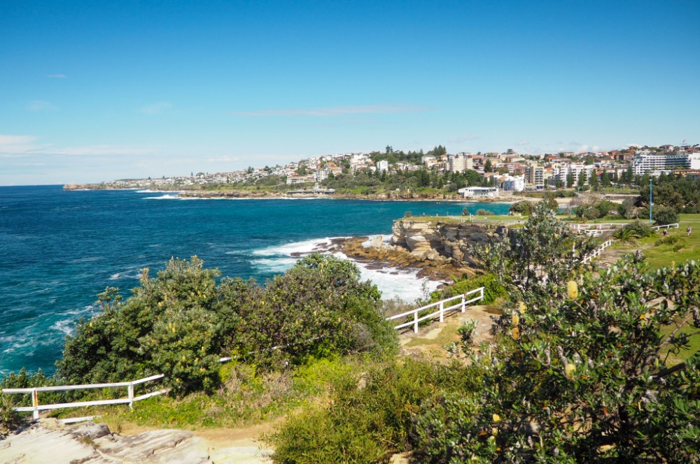 Toller Blick zurück auf Coogee