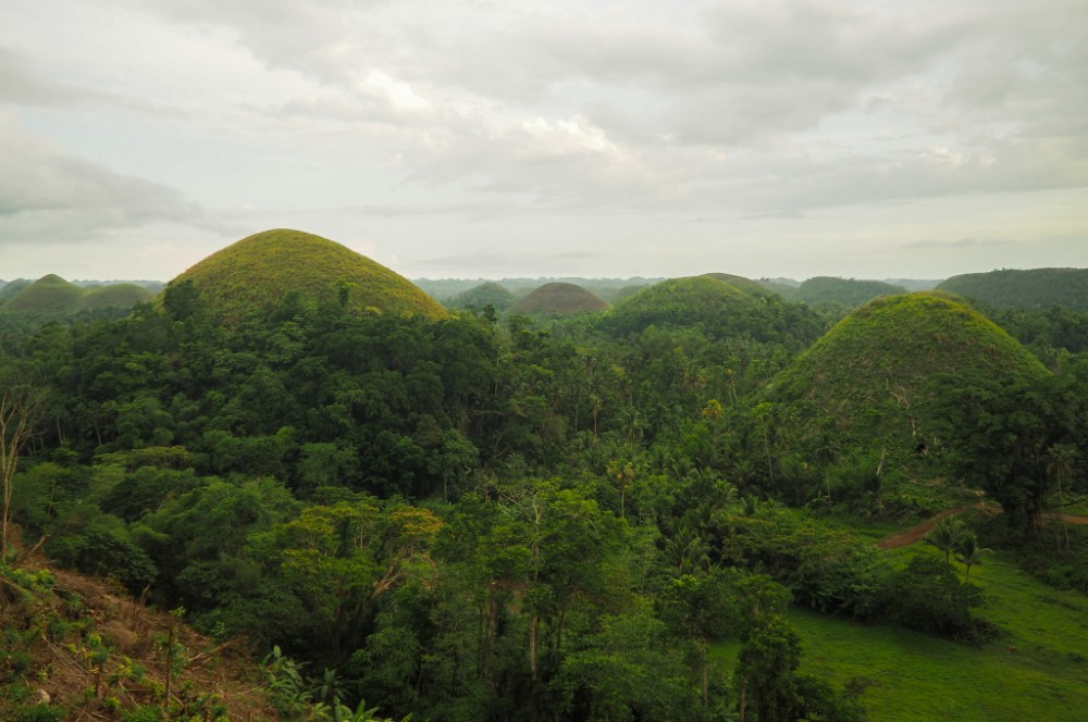 Ein paar der vielen Chocolate Hills