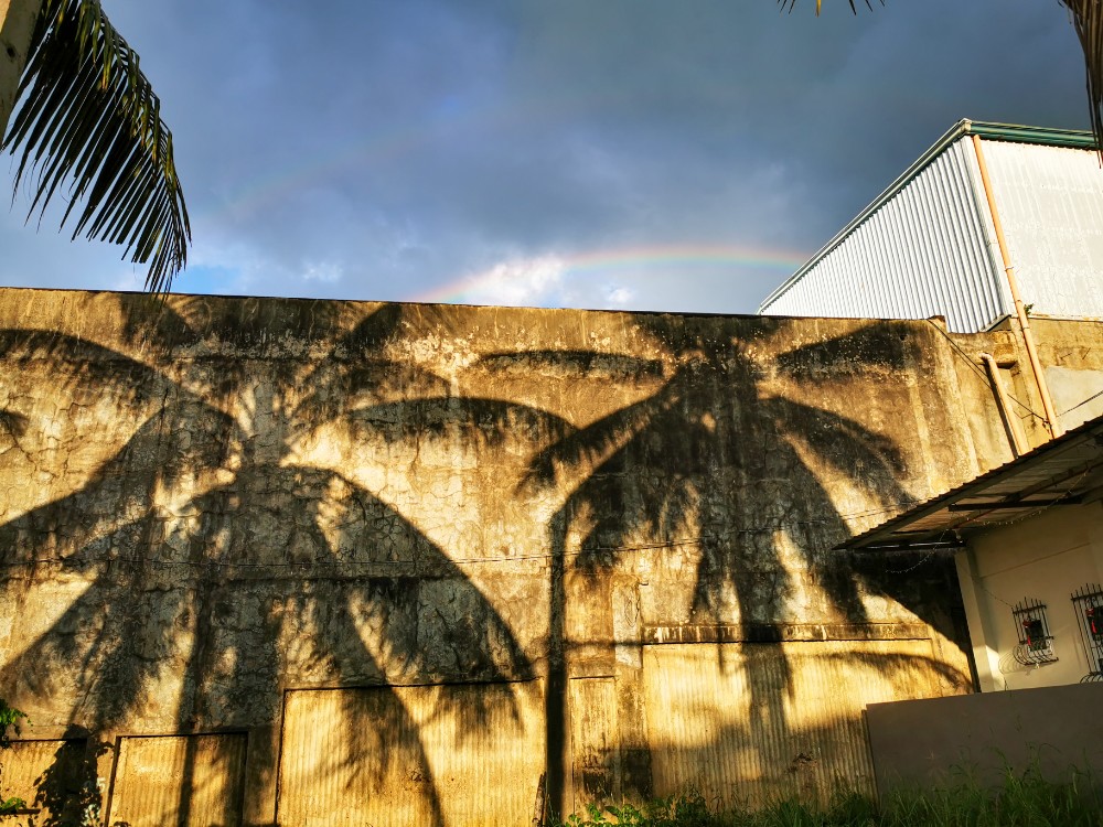 Der Schatten sieht aus wie ein Kunstwerk 😀