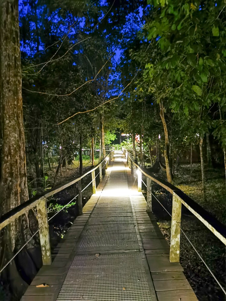 Der schöne Boardwald der Lodge