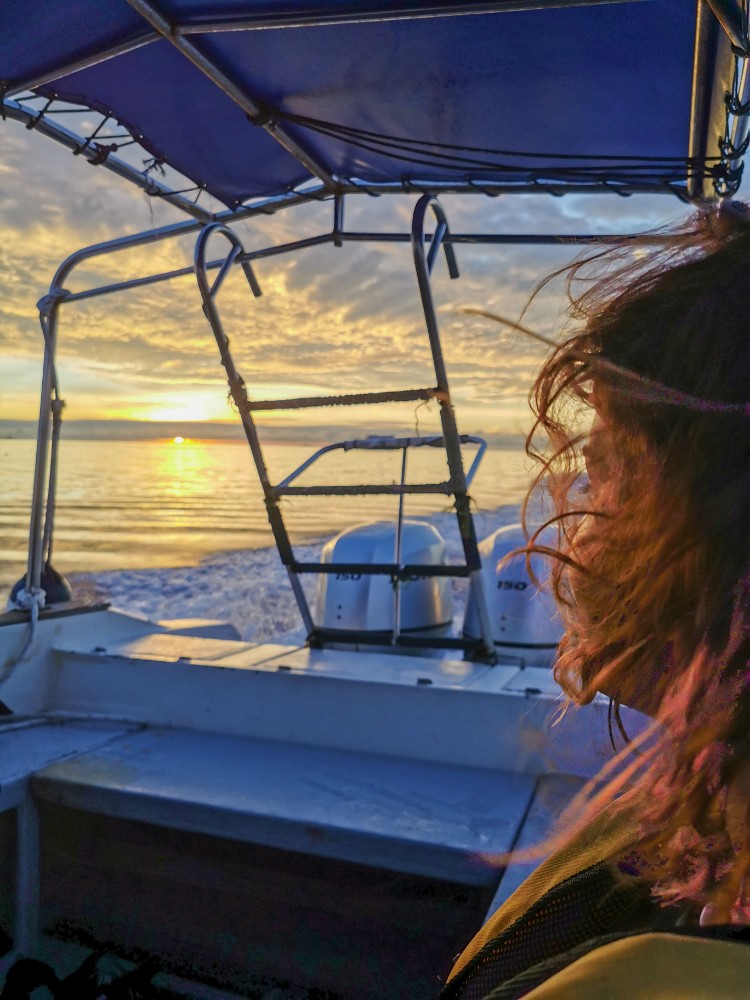 Boot fahren mit bester Aussicht