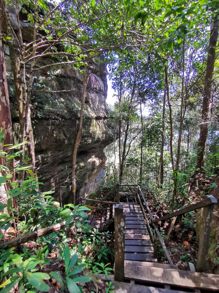 Die schönen Wanderwege im Wald