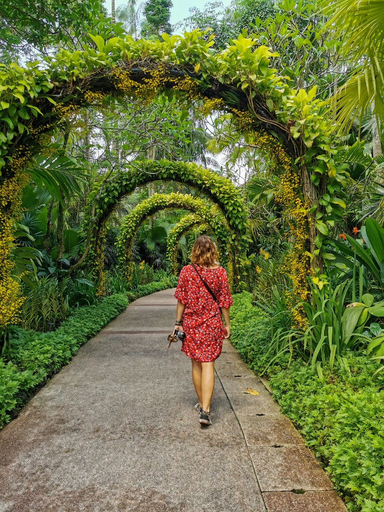 Im Orchideengarten gab's außerdem die besten Fotomotive