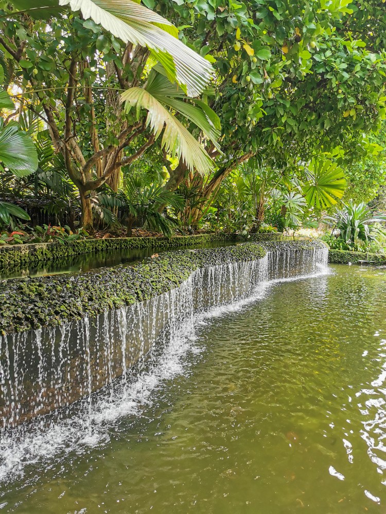 Super schicke Sachen im botanischen Garten