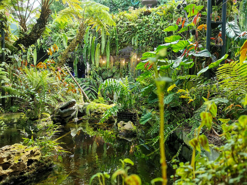 Wirklich wie im Regenwald