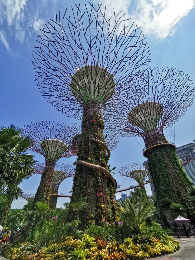 Schonmal einen ersten Blick auf die Supertrees erhaschen