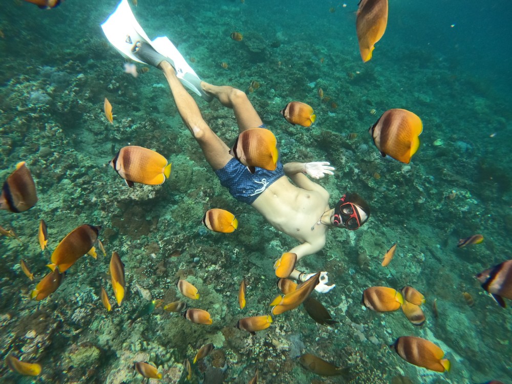 Fischmagnet Marcus