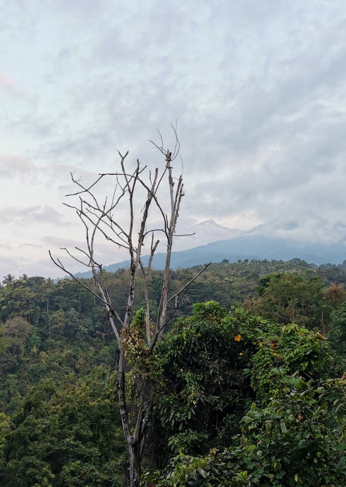 Kurz sieht man sogar den Gipfel des Rinjani