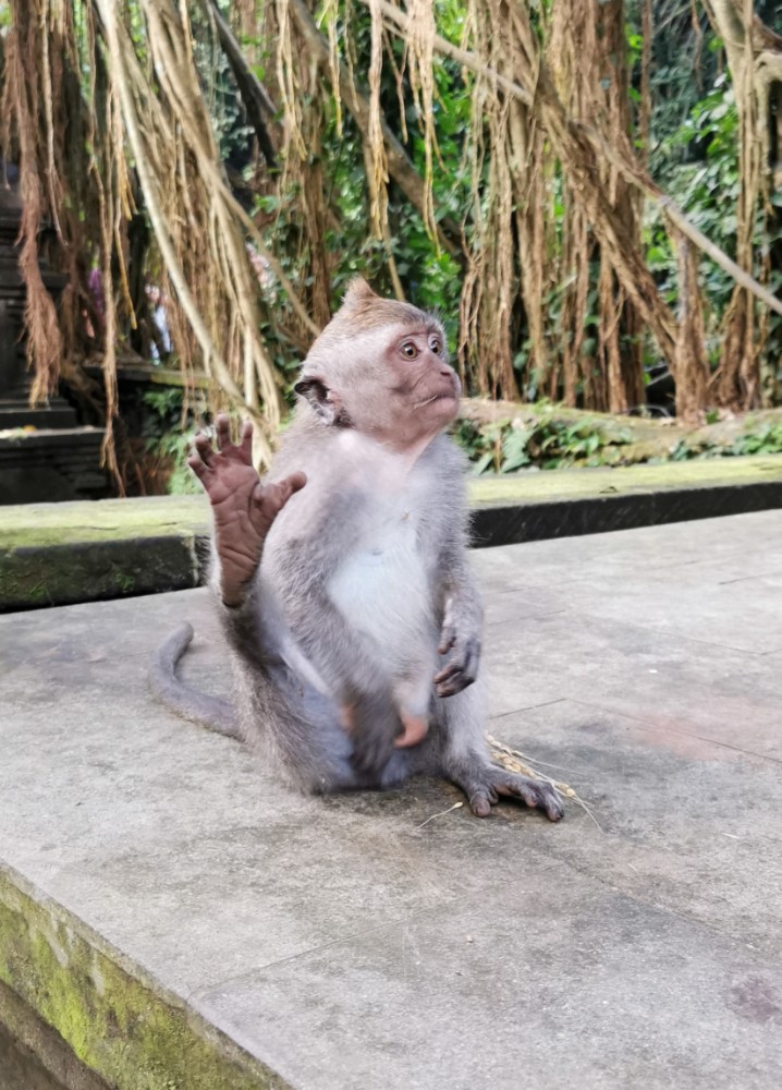 Bisschen Yoga zwischendurch