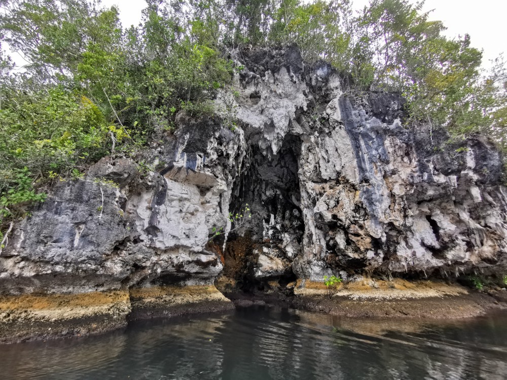 Sogar eine Fledermaushöhle gibt es hier