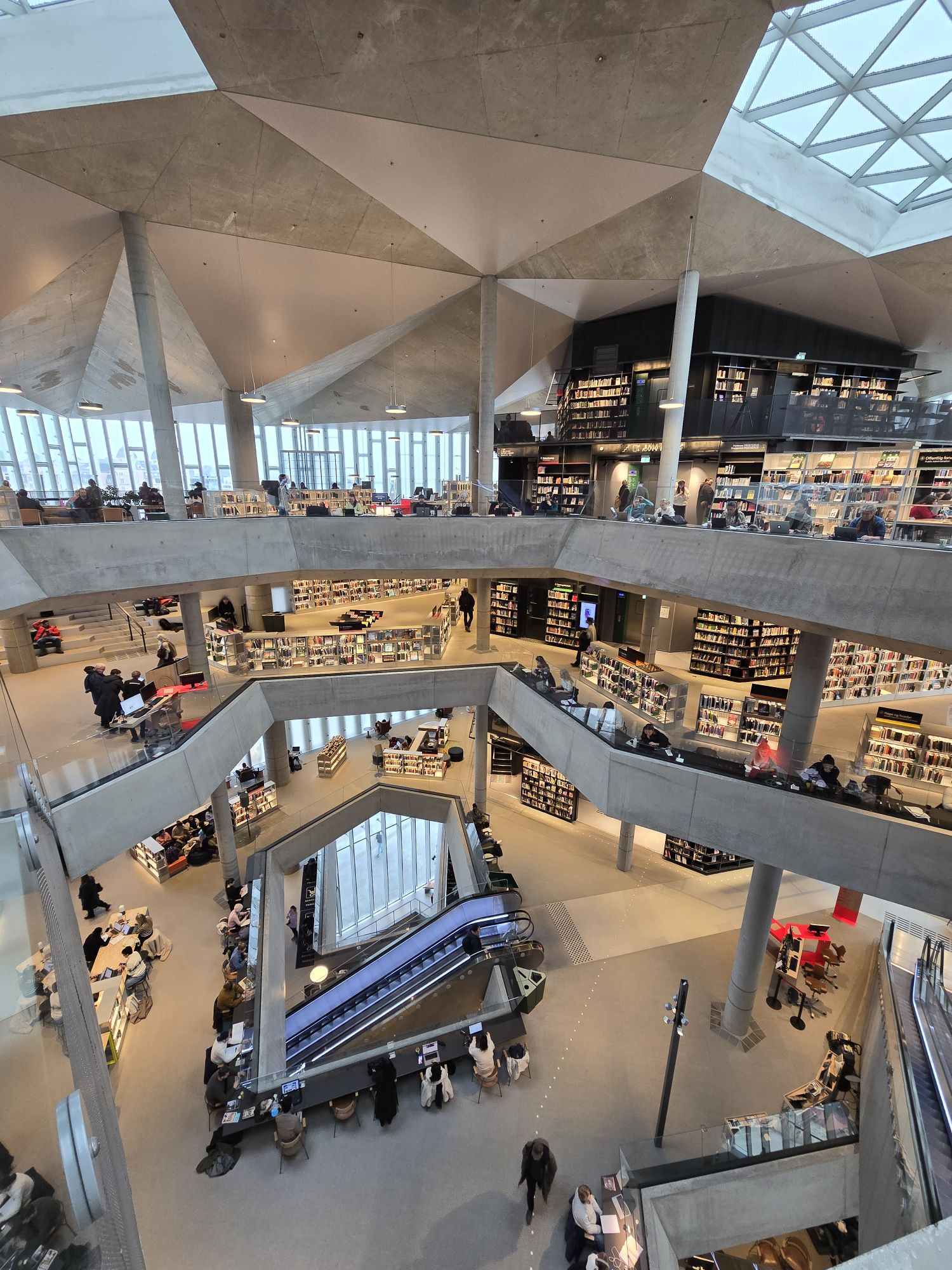 Die tolle Bibliothek