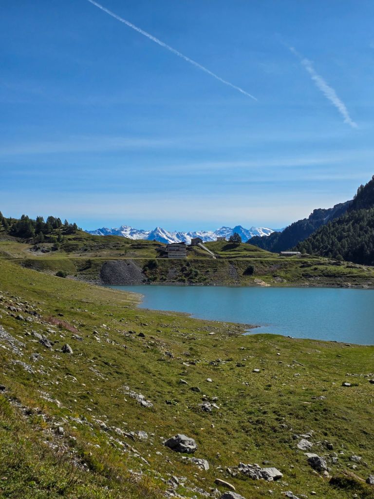 So ein schöner Ausblick