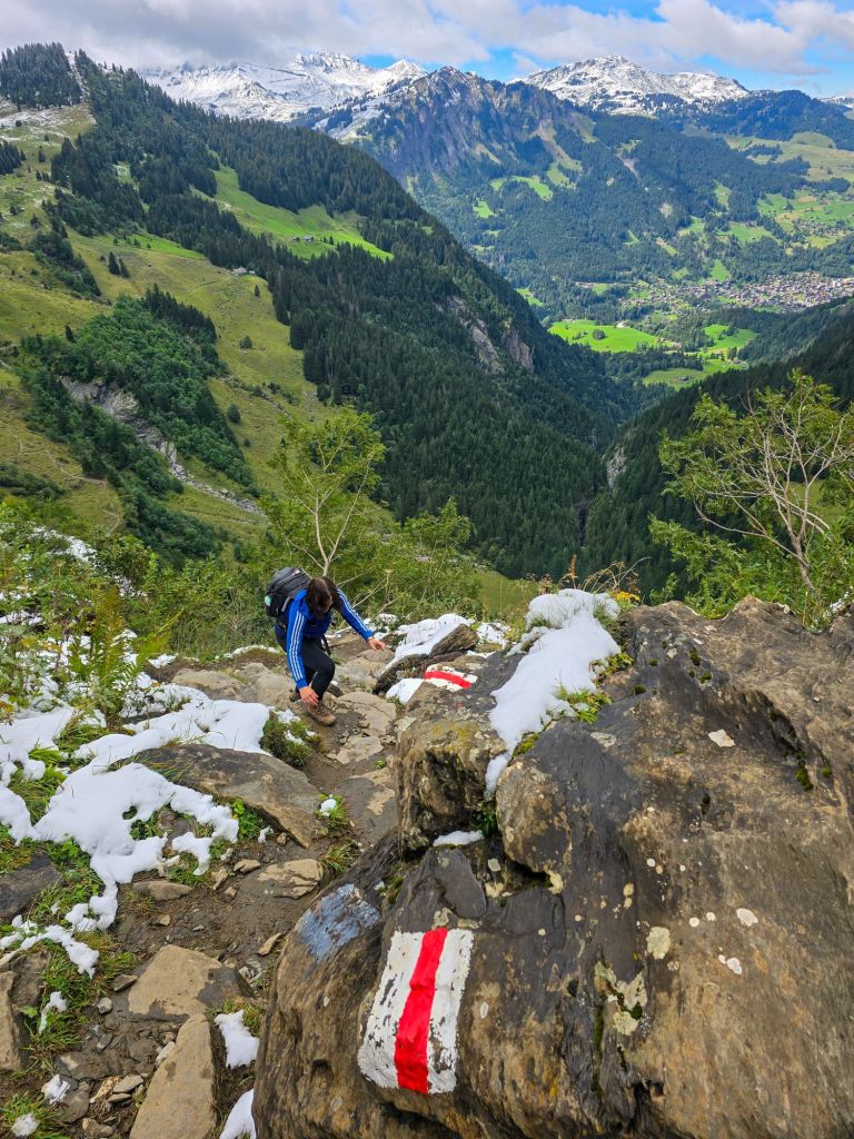 Da ist es noch grün 😃