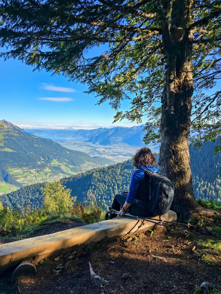 Kurzes Panoramapäuschen