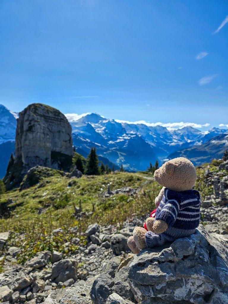 Da hat jemand seinen Bären die Berge gezeigt - wenn das Fridolin wüsste!