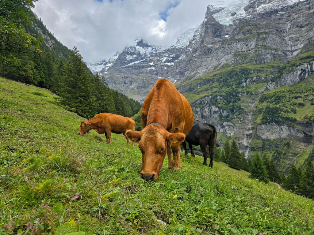 Die schauen doch auch in die falsche Richtung