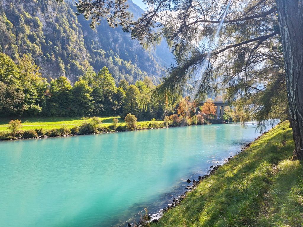 Der schöne Weg entlang der Aare