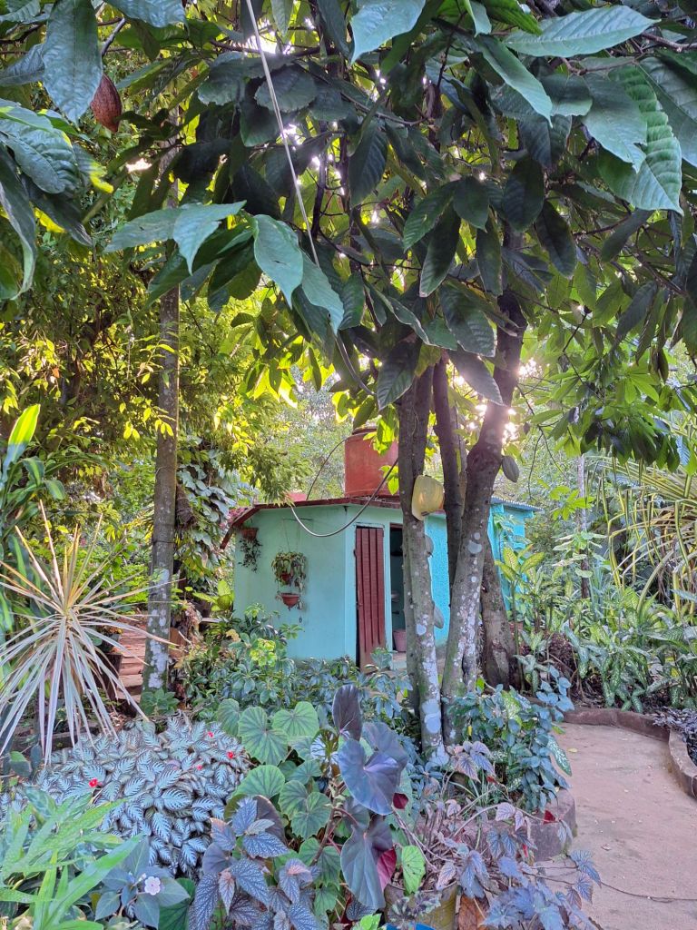 Das Licht im botanischen Garten war toll