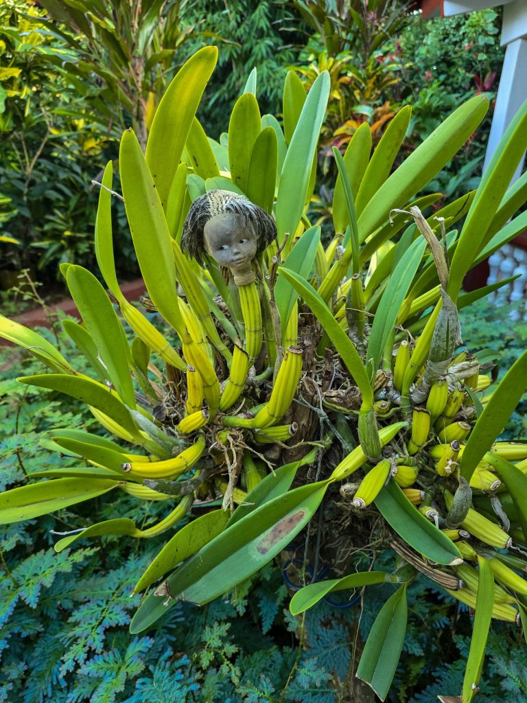 Die Puppen sollen den botanischen Garten freundlicher machen 😃