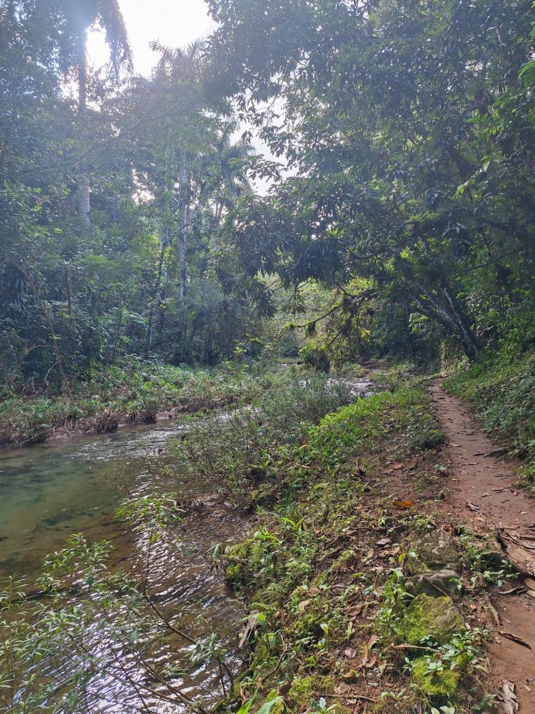 Der schöne Weg am Wasser entlang