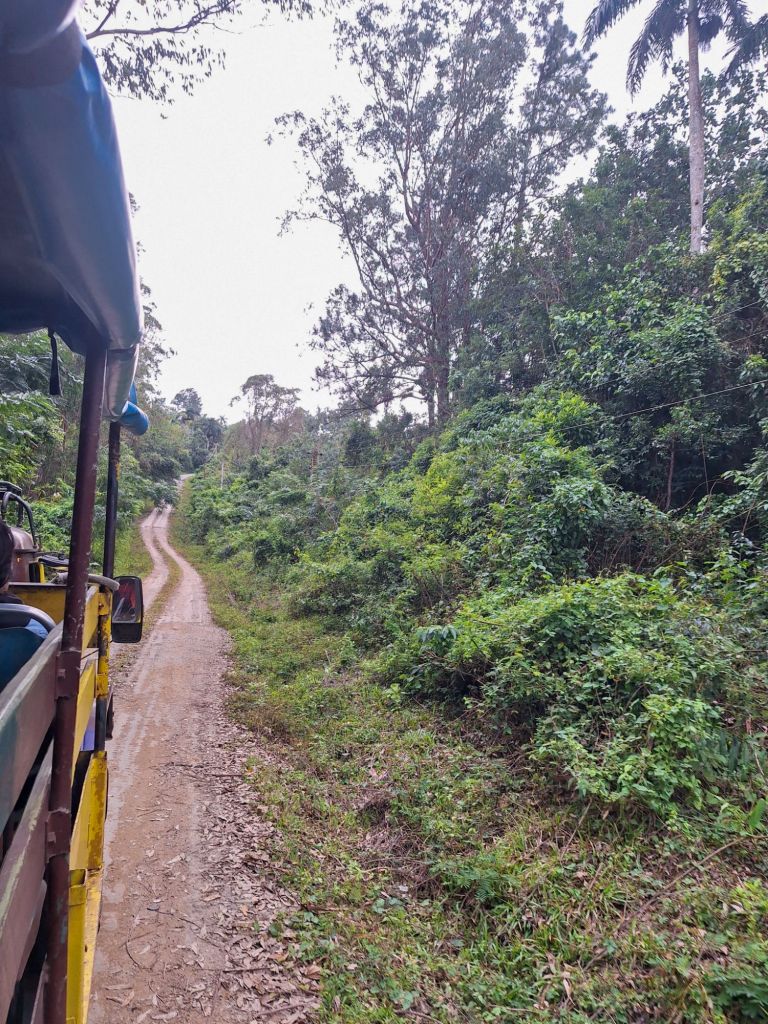 Der Rückweg im Jeep