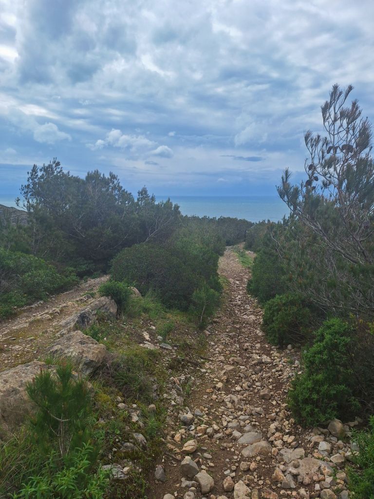 Der süße Wanderweg mit Meerblick