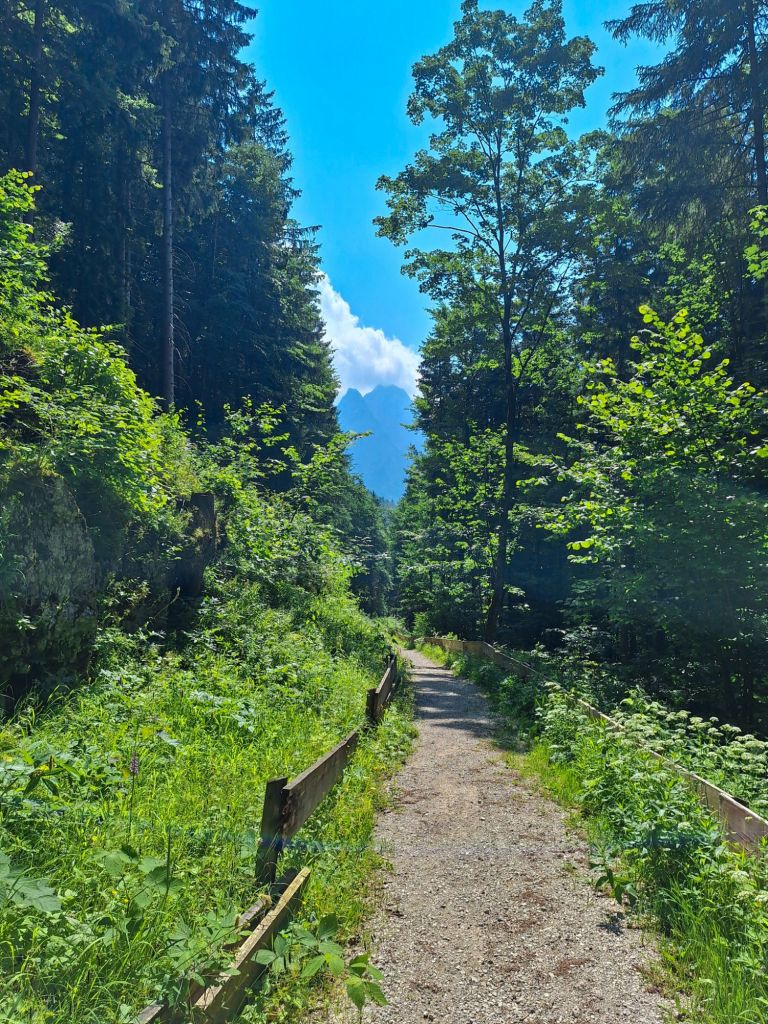 Einen tollen Ausblick aus dem Bob gab es wohl auch damals schon