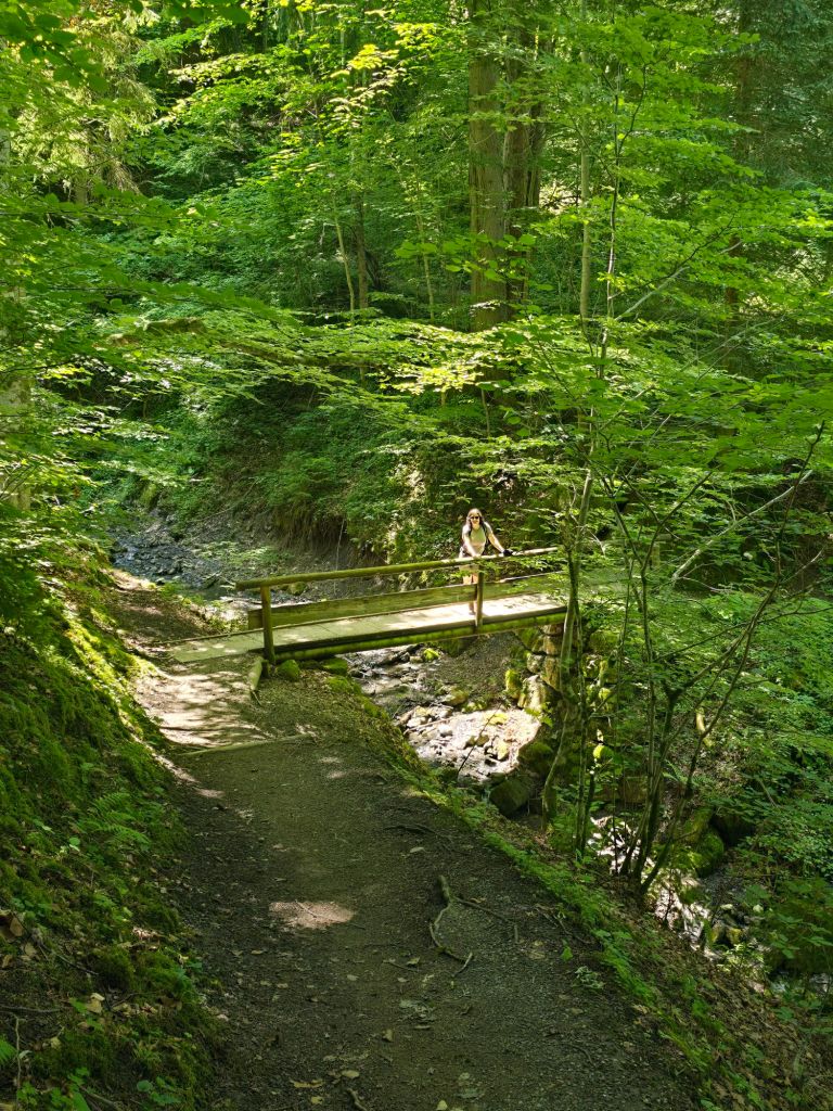 Der Weg ist auch super schön