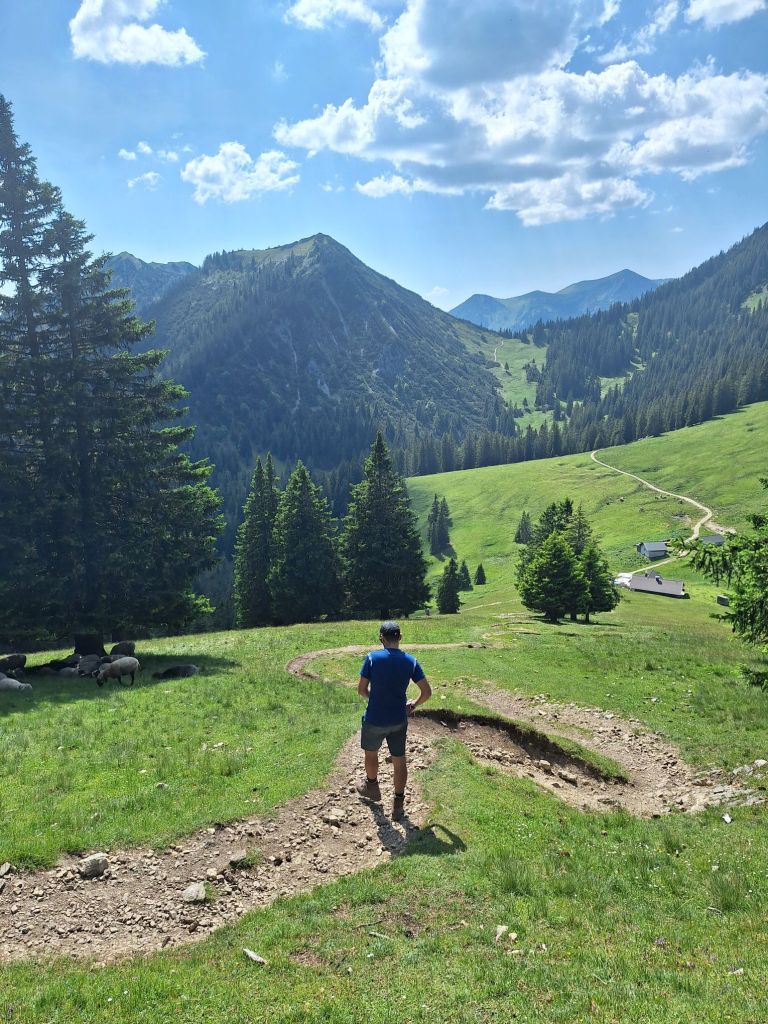 Schon fast zur Alm geschafft