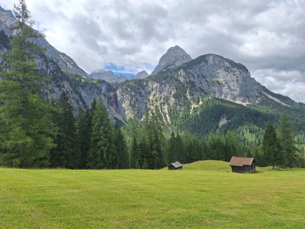 Bei einem langweiligen Forstweg war wenigstens die Aussicht erste Sahne