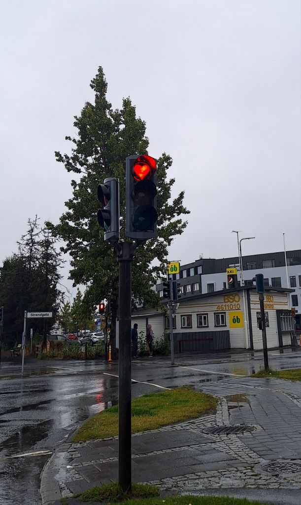 Hier gibt es nur Herzampeln 😍